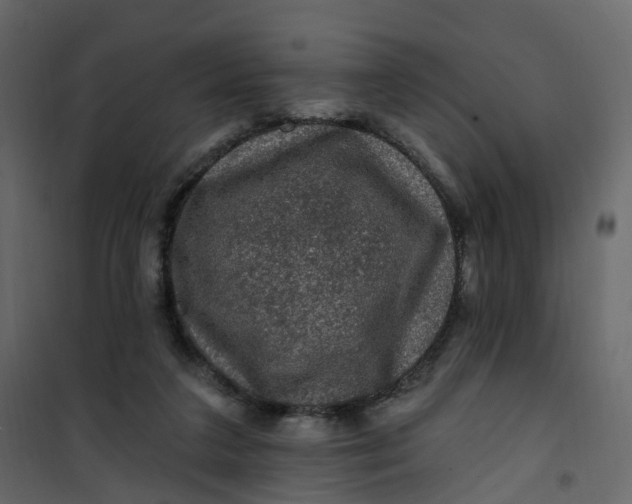 X0000101090211200807171856