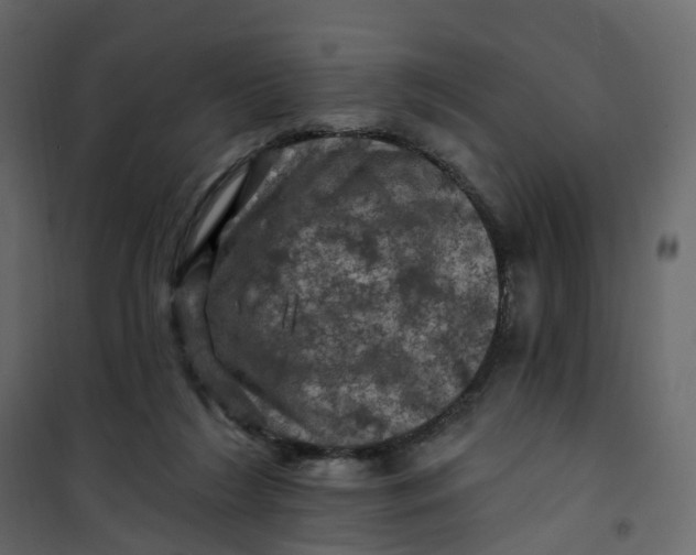 X0000101090212200807171856