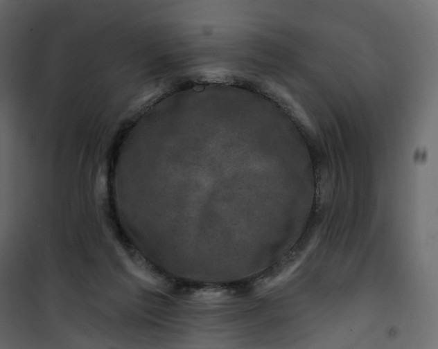 X0000101090213200807171855