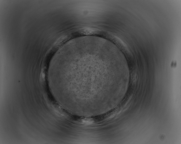 X0000101090214200807171855