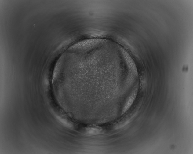 X0000101090215200807171855