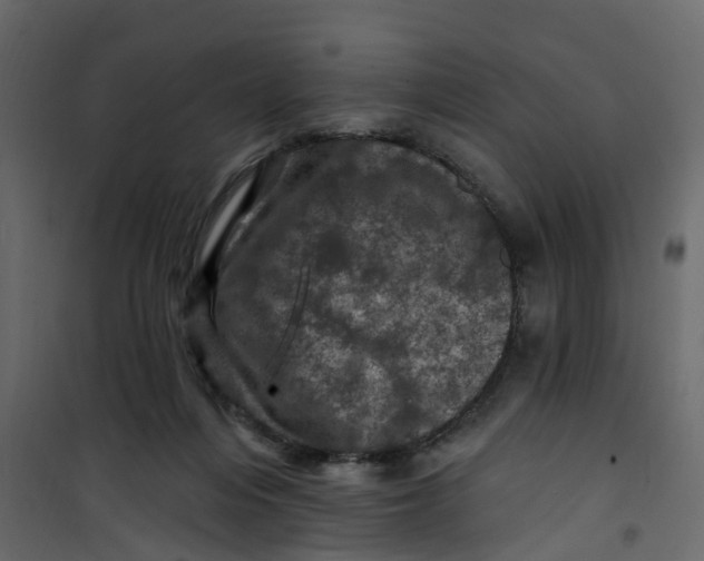 X0000101090216200807171855