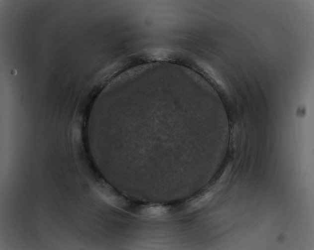 X0000101090217200807171855