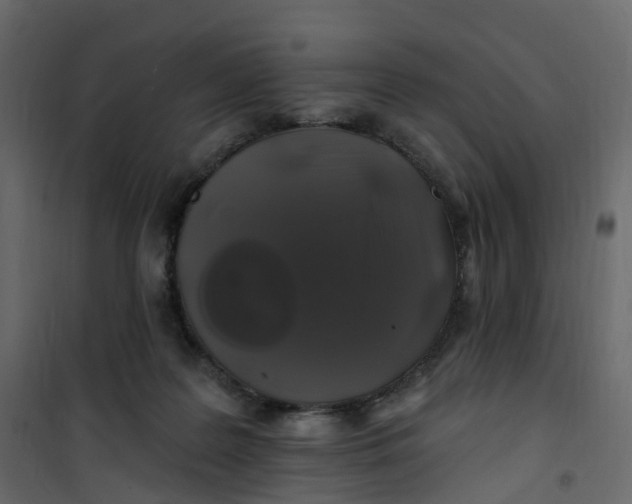 X0000101090219200807171855