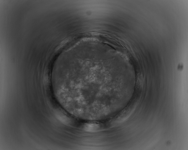 X0000101090220200807171855