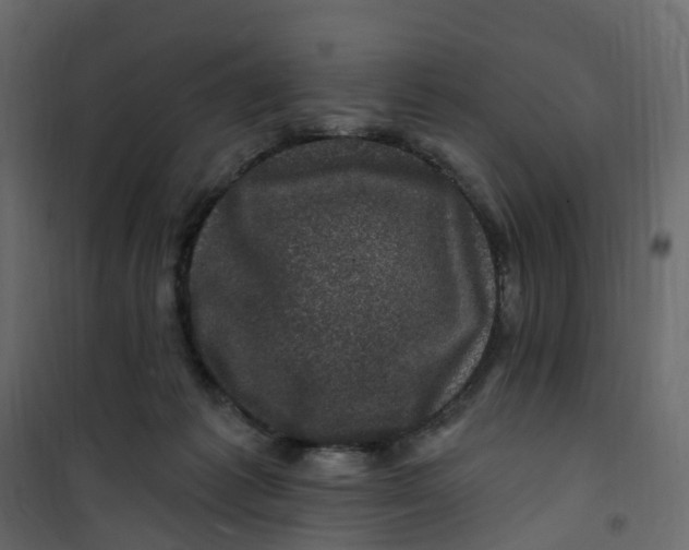 X0000101090221200807171855