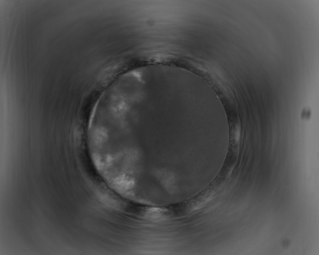 X0000101090222200807171855