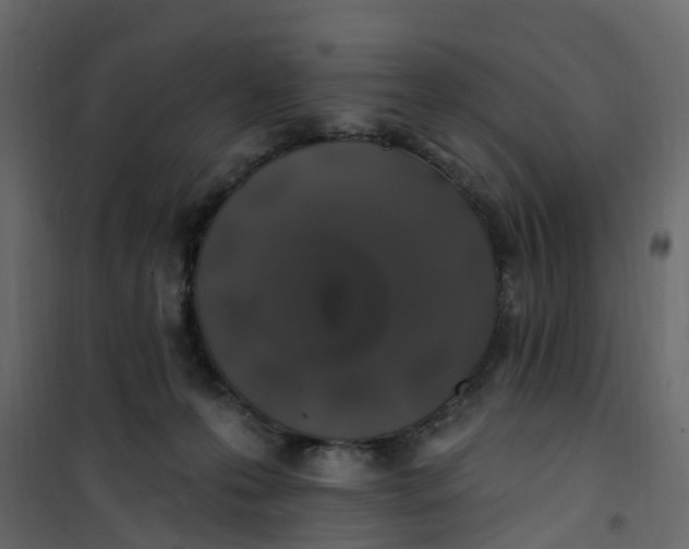 X0000101090223200807171855