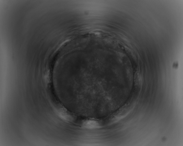 X0000101090224200807171855