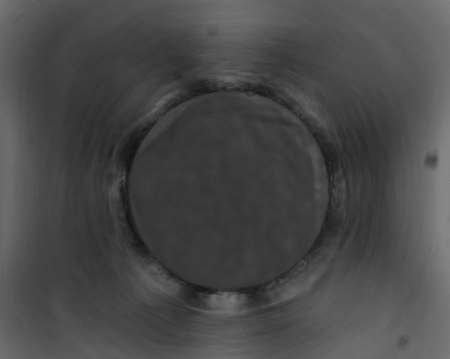 X0000101090225200807171855