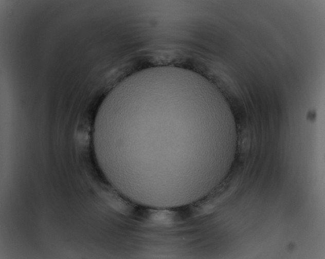 X0000101090226200807171855