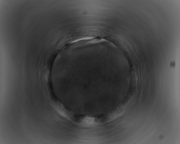 X0000101090227200807171855