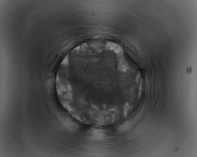 X0000101090228200807171855