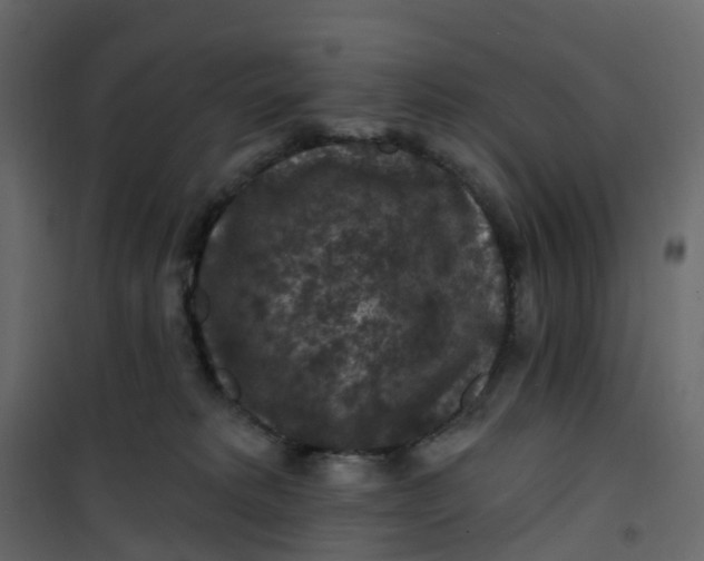 X0000101090229200807171855