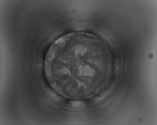 X0000101090230200807171855