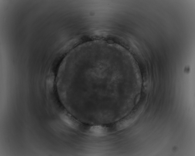 X0000101090231200807171855