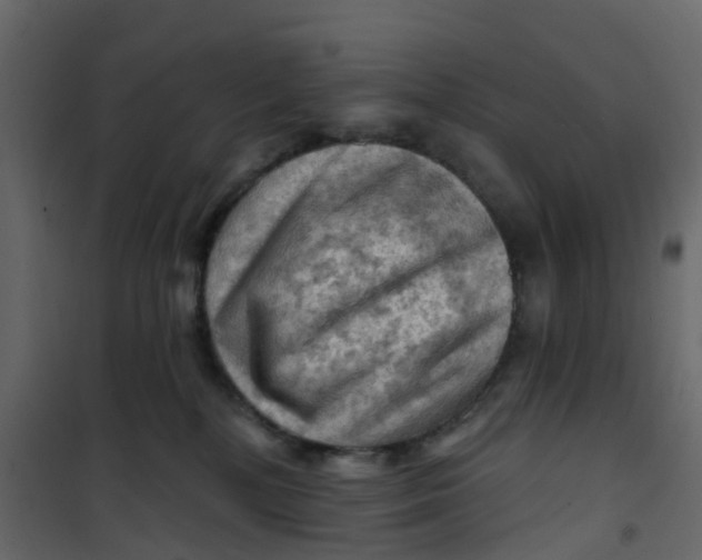 X0000101090232200807171855