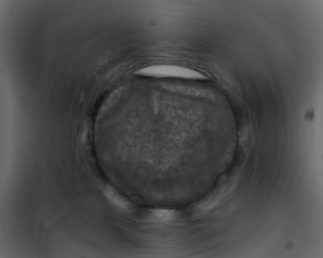 X0000101090233200807171855