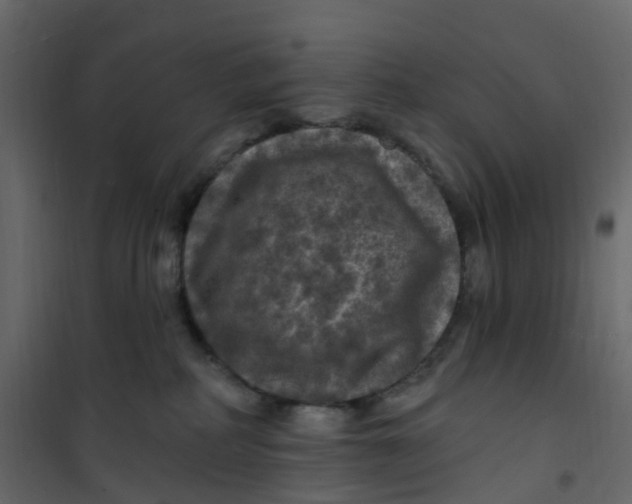 X0000101090234200807171855