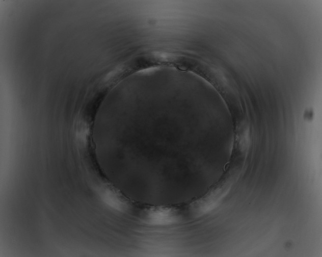 X0000101090235200807171855