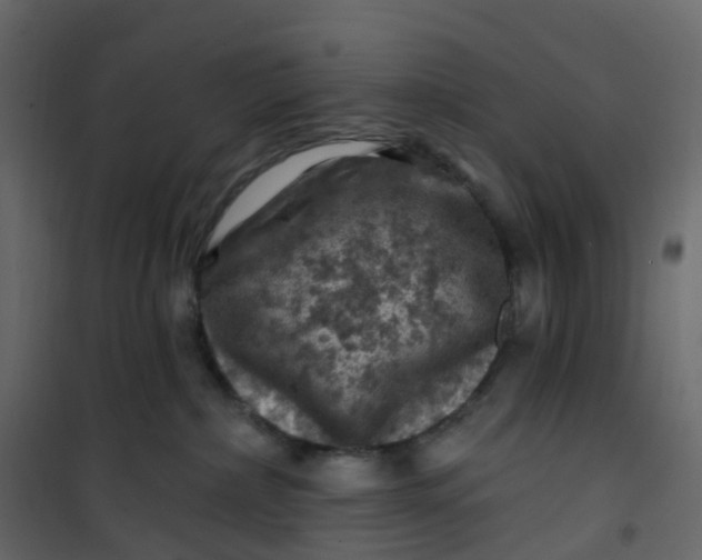 X0000101090236200807171855