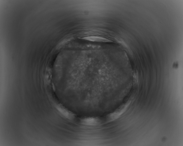 X0000101090237200807171855