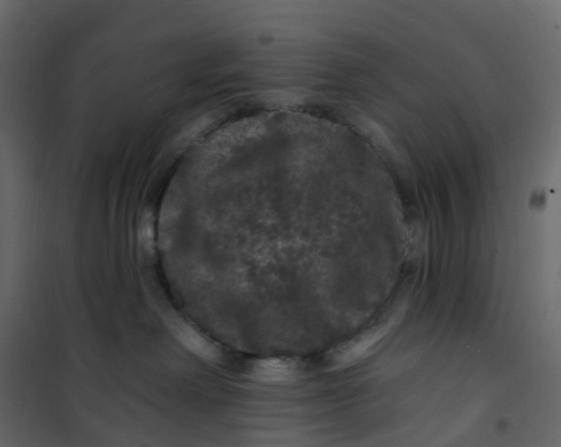 X0000101090238200807171855