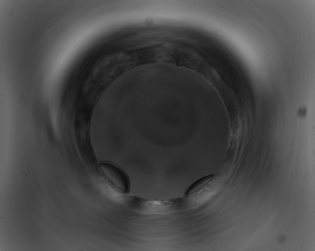 X0000101090239200807171855