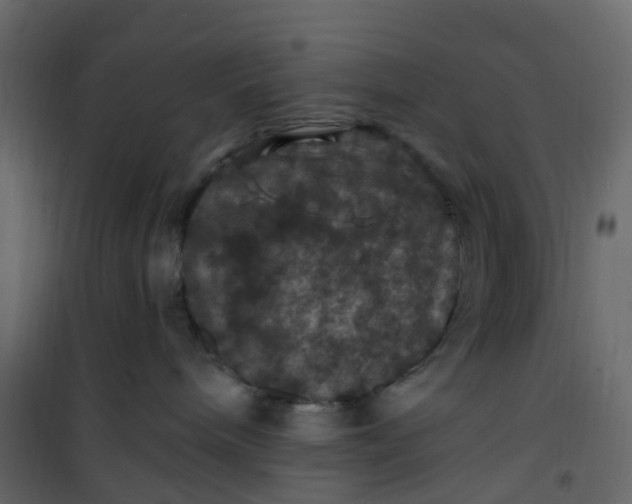 X0000101090240200807171855