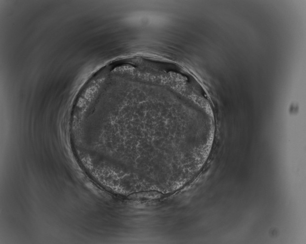 X0000101090241200807171854