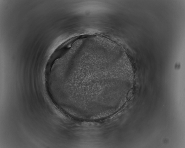 X0000101090242200807171854