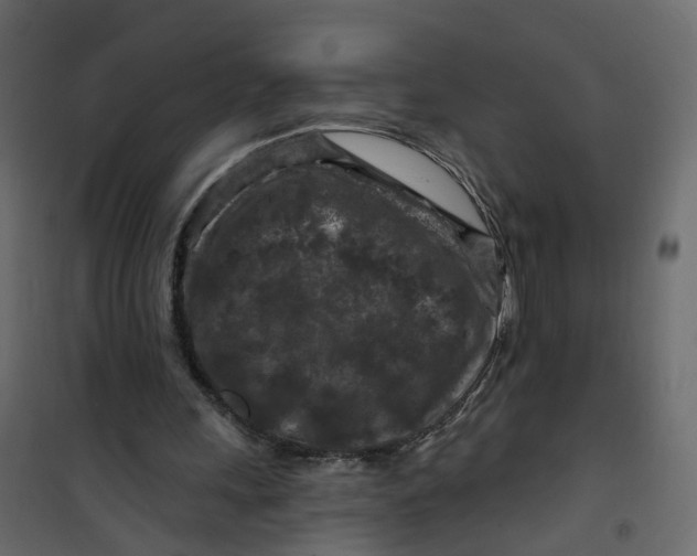 X0000101090243200807171854