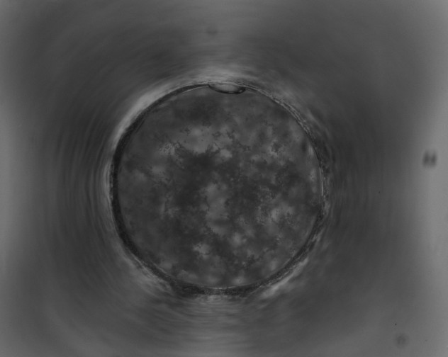 X0000101090244200807171855