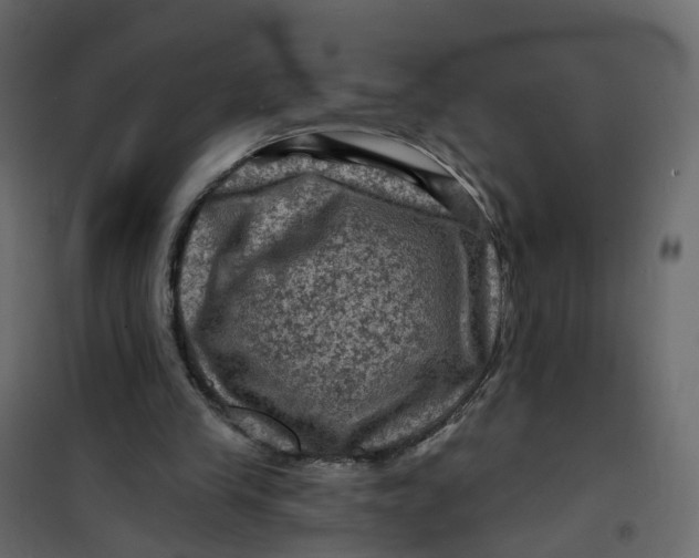 X0000101090245200807171855