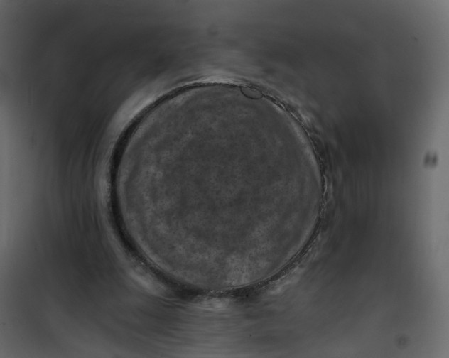 X0000101090247200807171855