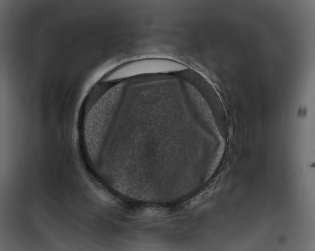 X0000101090248200807171855