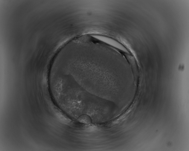 X0000101090249200807171855