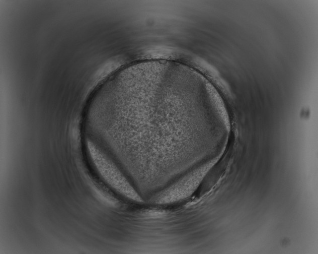 X0000101090250200807171855