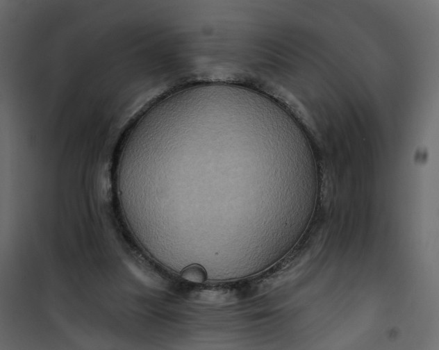 X0000101090251200807171855