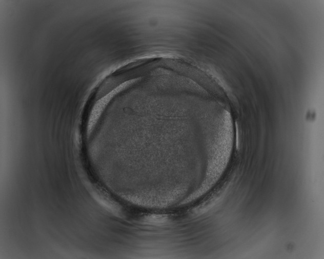 X0000101090252200807171855