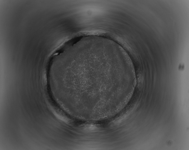 X0000101090254200807171855