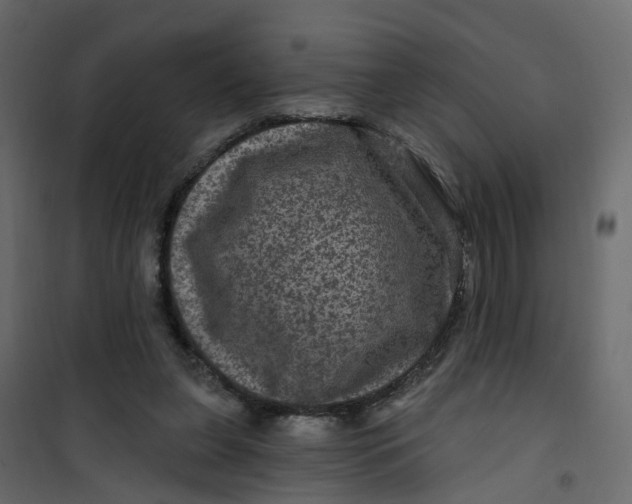 X0000101090255200807171855