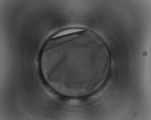 X0000101090256200807171855