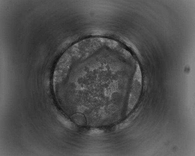 X0000101090257200807171855