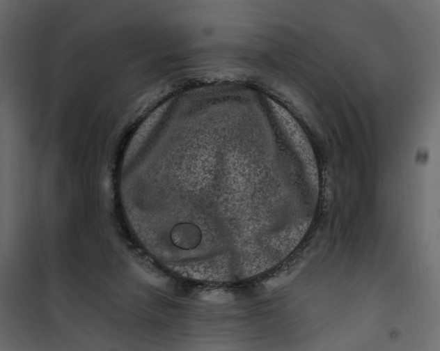 X0000101090258200807171855