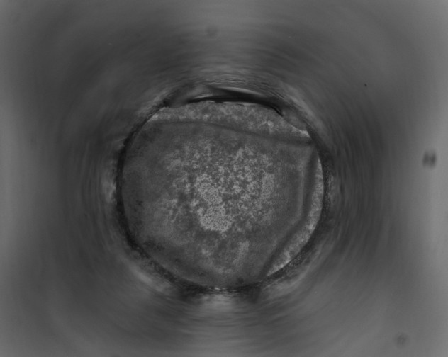 X0000101090259200807171855