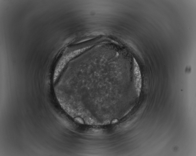 X0000101090260200807171855