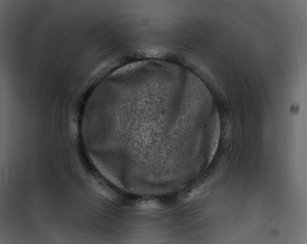 X0000101090262200807171855