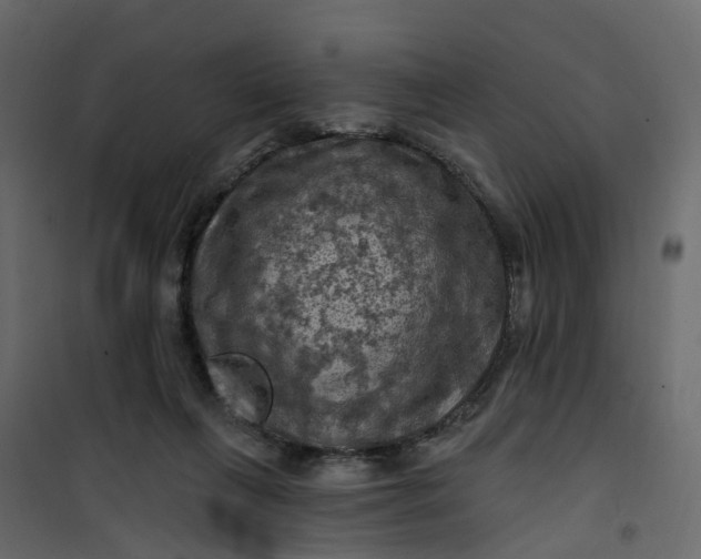 X0000101090263200807171855