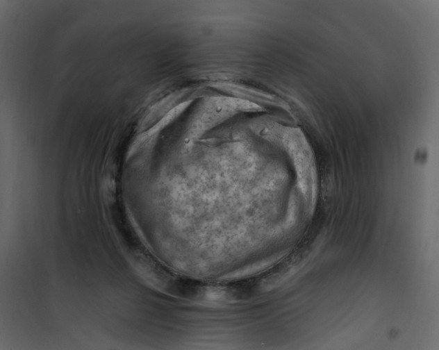 X0000101090264200807171855